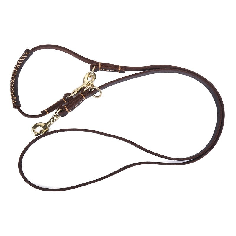 Multifunctional Two Dog Leash soft Real Leather handle Double Leashes P chain Collar Long Short pet Dog Walking Training Lead
