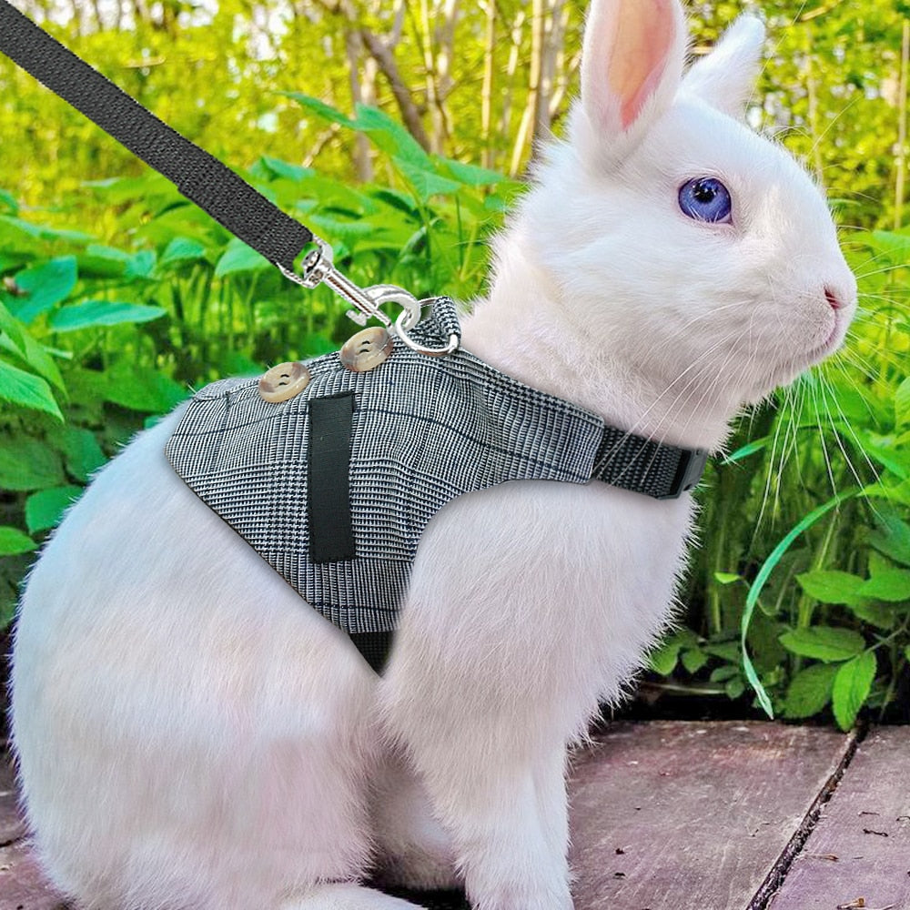 Hamster Rabbit Dog Harness Vest Small Animals Hamster Accessories Pet Puppy Harness Leash Lead Set For Ferret Guinea Pig Kitten